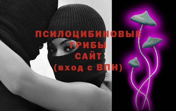гашик Алексеевка