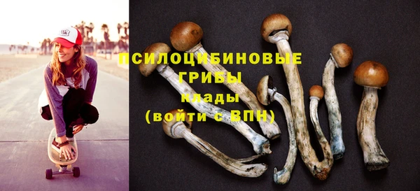 spice Алексин