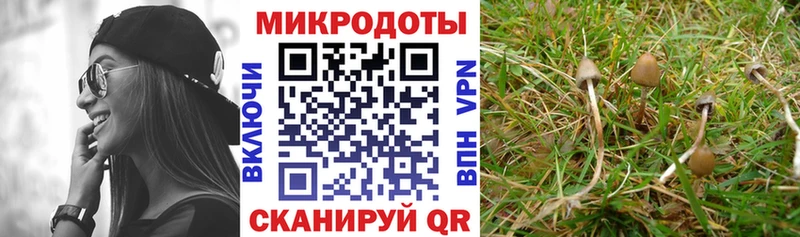 купить цена Пушкино Псилоцибиновые грибы Magic Shrooms